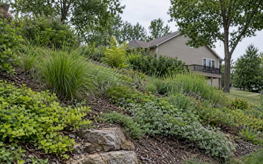 Slope Erosion Control for Homeowners: Plants First, Drainage Now