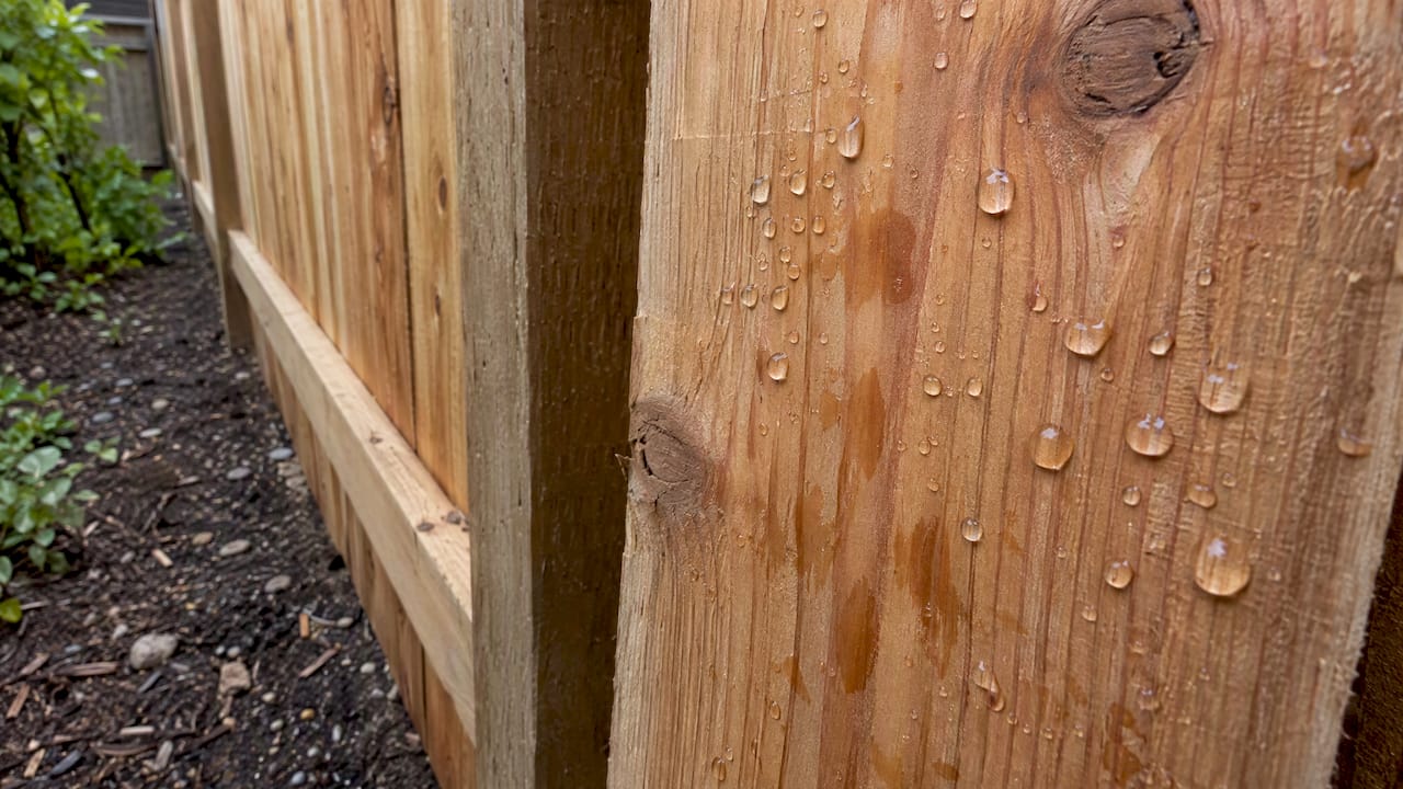 Water beading on a cedar fence board