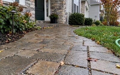 Permeable Pavers Benefits: What Homeowners Should Know